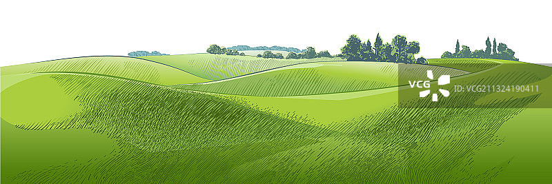 小山丘上的绿色草地素描图片素材