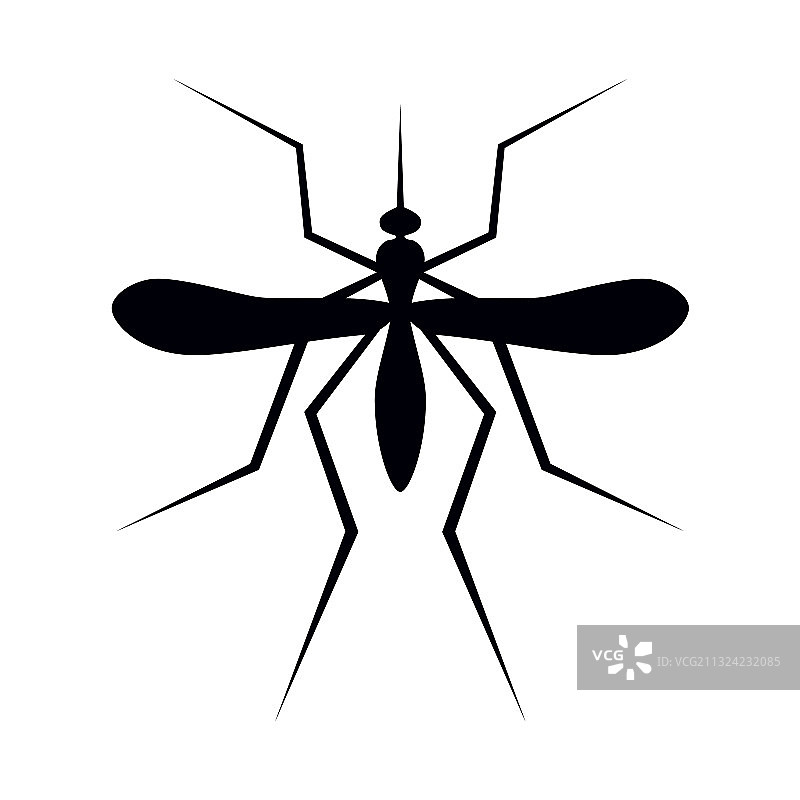蚊子昆虫库蚊剪影图片素材
