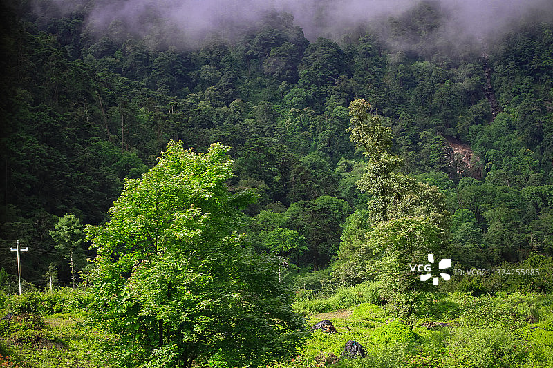 西藏氧吧勒布沟 东章瀑布图片素材