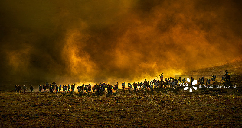 尘土飞扬马蹄疾图片素材