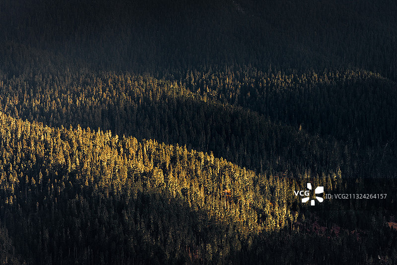 鲁朗林海图片素材