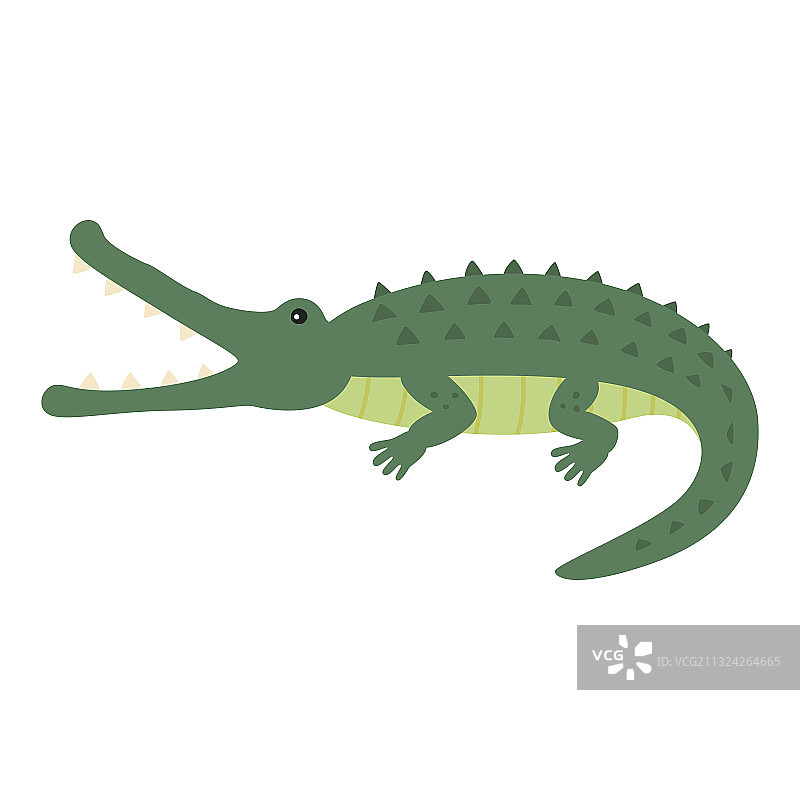 有趣的鳄鱼图片素材