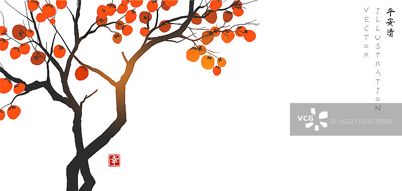 白色背景上结满橙色柿子的柿子树图片素材