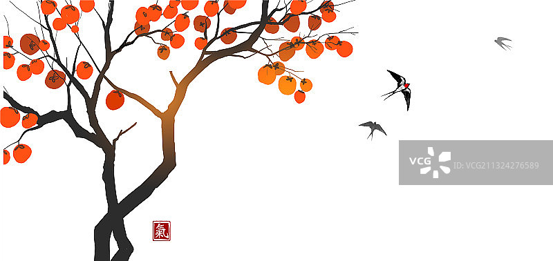 结满橙色果实的小柿子树图片素材