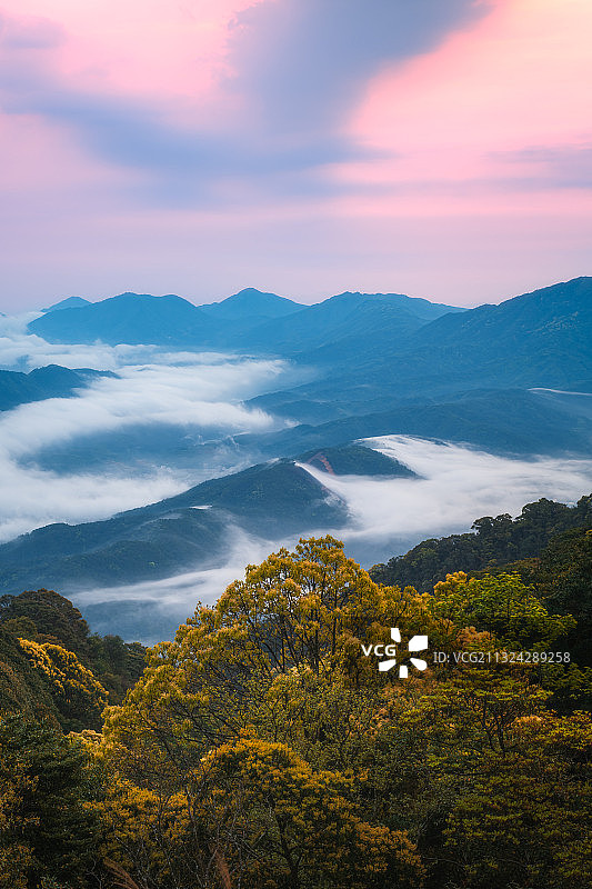 清明节自然山脉森林山谷云雾缭绕空气清新风景图片素材
