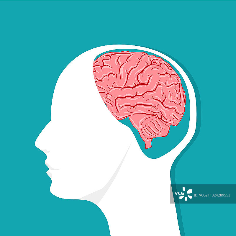 人脑中的大脑思维图片素材