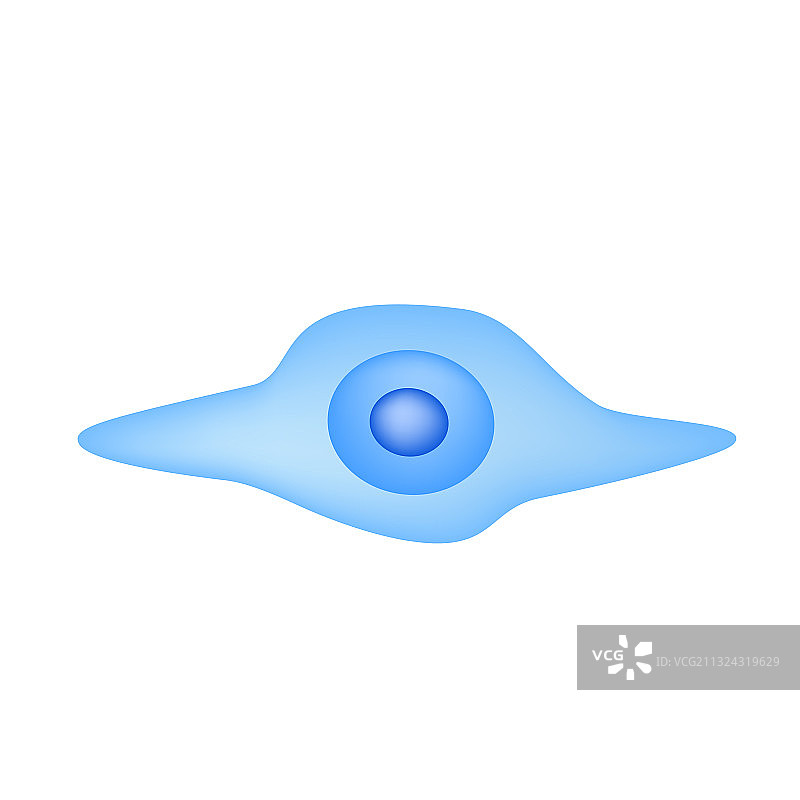 间充质干细胞结构图片素材