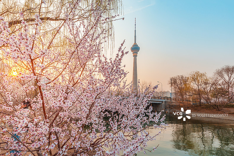 北京玉渊潭公园图片素材