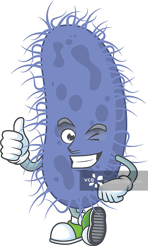 伤寒沙门氏菌吉祥物竖起大拇指图片素材