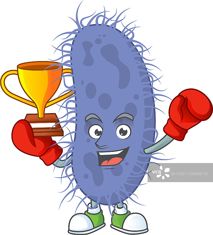 骄傲的拳击获胜者伤寒沙门氏菌图片素材