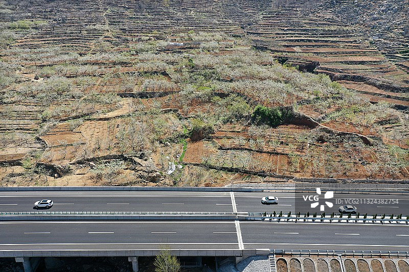 山东新泰至台儿庄高速公路穿越山亭区水库旁花开正艳的樱桃园图片素材