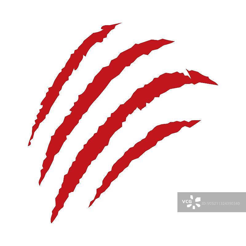 野生动物爪痕图片素材