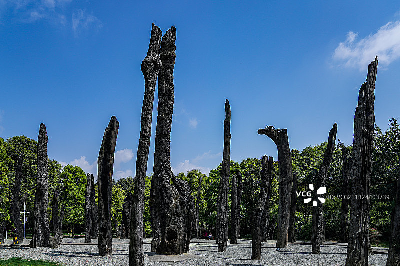 乌木林 成都图片素材