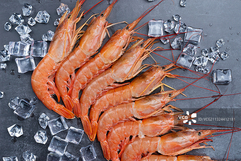 基围虾｜shrimps图片素材