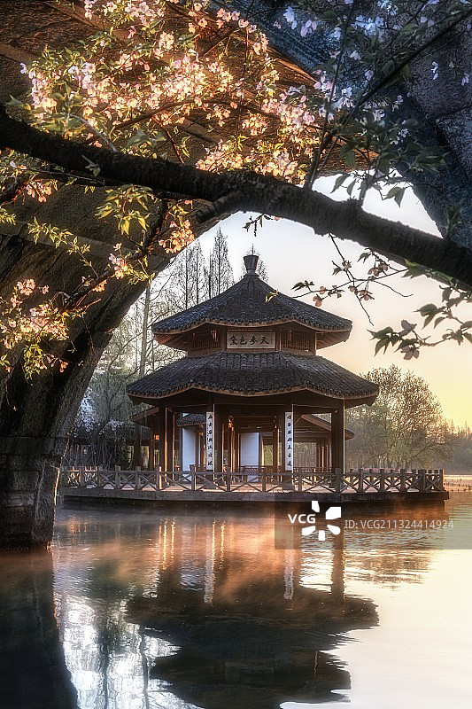 黛色参天图片素材