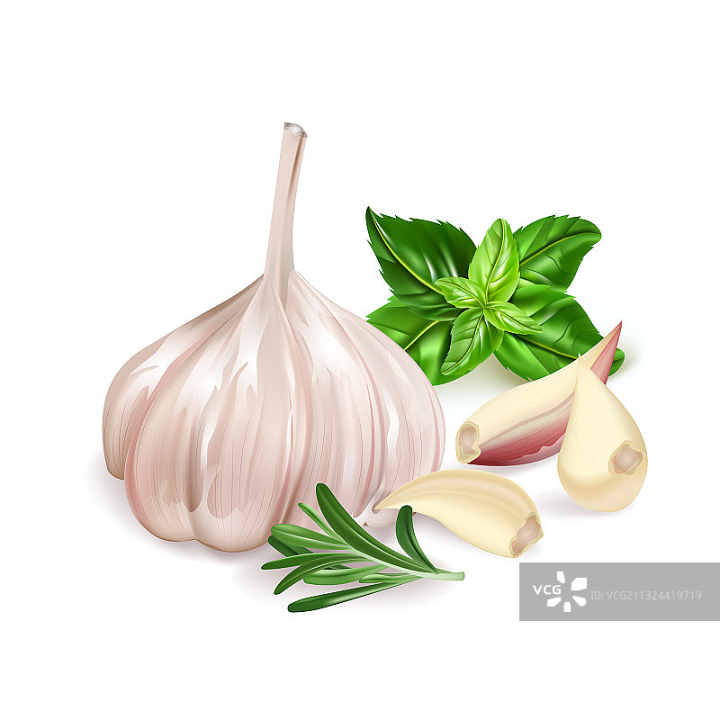 逼真3D大蒜迷迭香罗勒图片素材