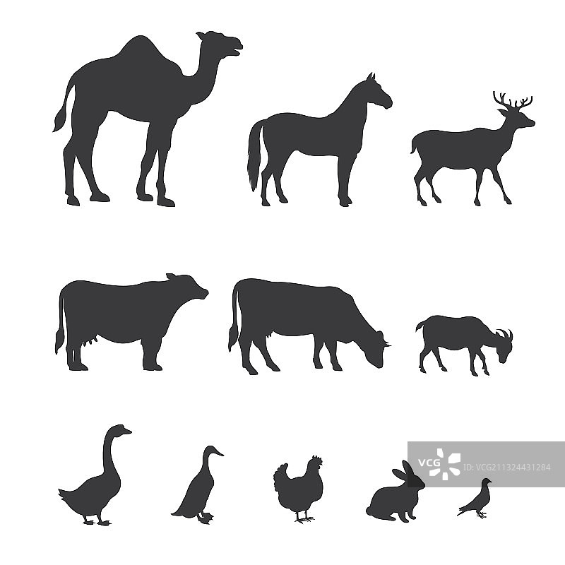 农场动物剪影设计图片素材