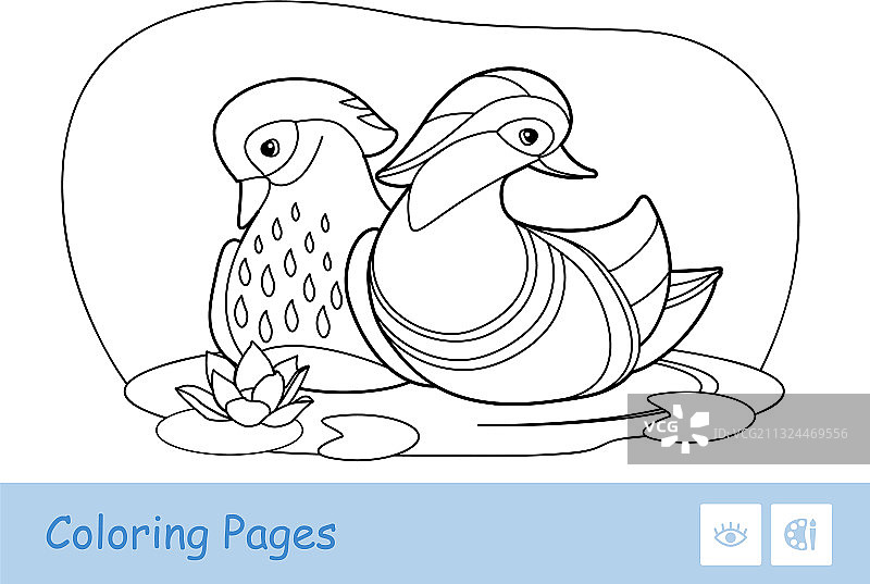 两个橘子的无色轮廓图像图片素材