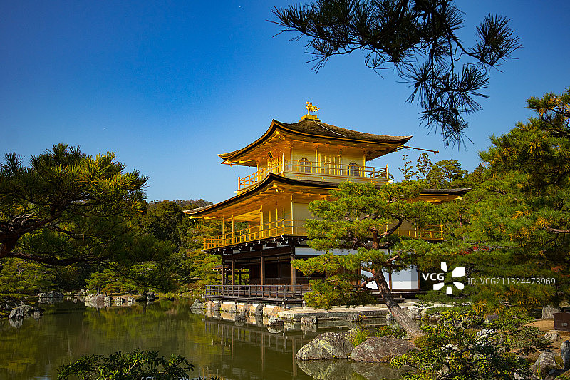 金阁寺之夏图片素材