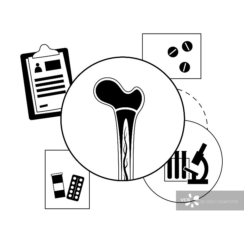 骨骼模板概念图片素材