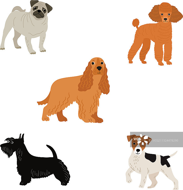 五只小狗图片素材