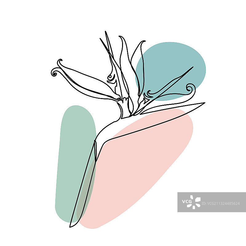 线性风格的白色孤立花朵图片素材