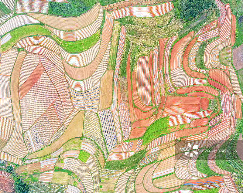 《七彩田园》图片素材