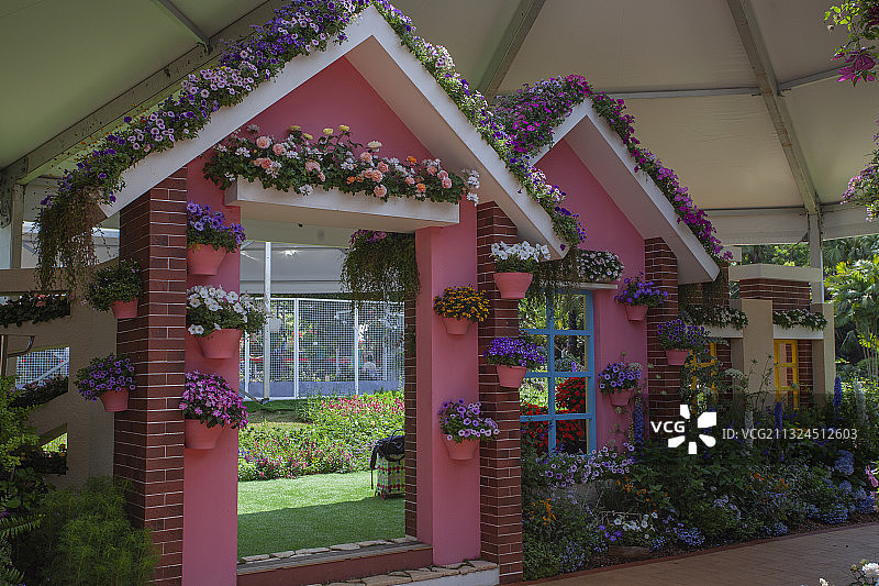 2021粤港澳大湾区深圳花展（国际花园，城市花园，未来花园）图片素材