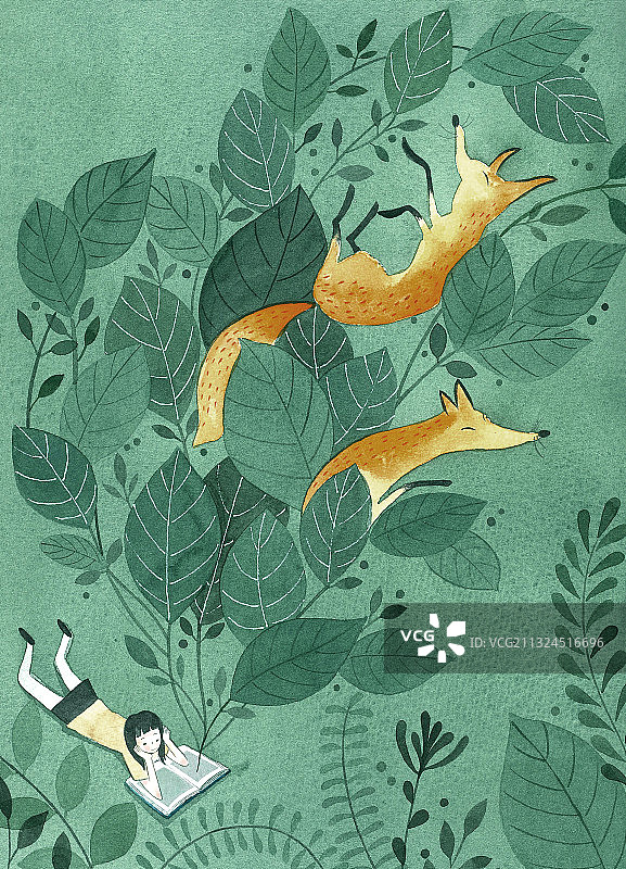 森林里的奇遇图片素材