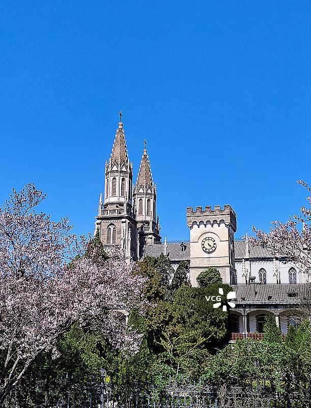 春天的山东省济南市洪家楼教堂图片素材