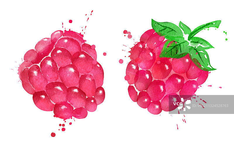 水彩覆盆子图片素材