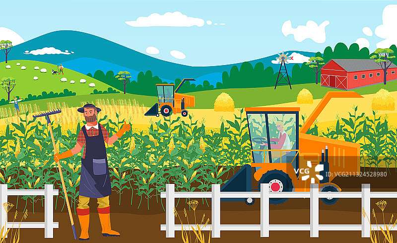 农业作物农田图片素材