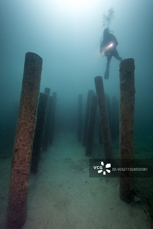 水肺潜水员在阿特湖的水下桩建筑中图片素材