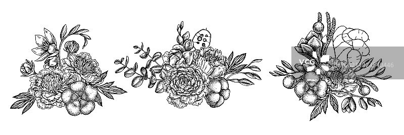 黑白榕树花束图片素材