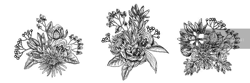 黑白荚蒾花束图片素材