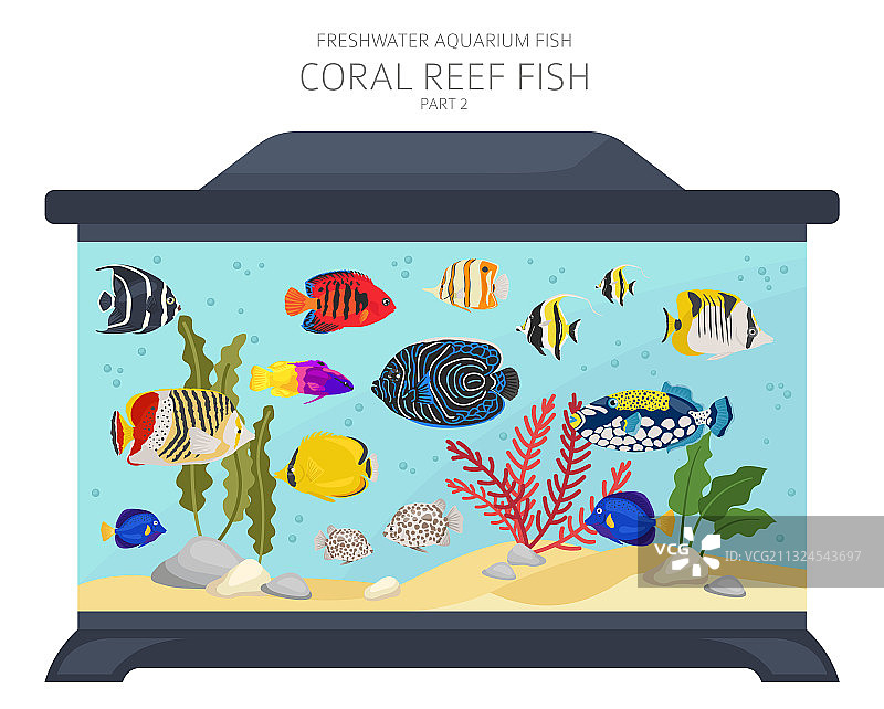 珊瑚礁鱼类淡水水族箱鱼类图标集图片素材