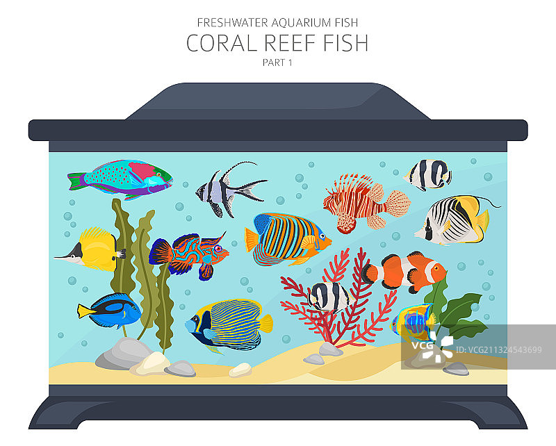珊瑚礁鱼类淡水水族箱鱼类图标集图片素材