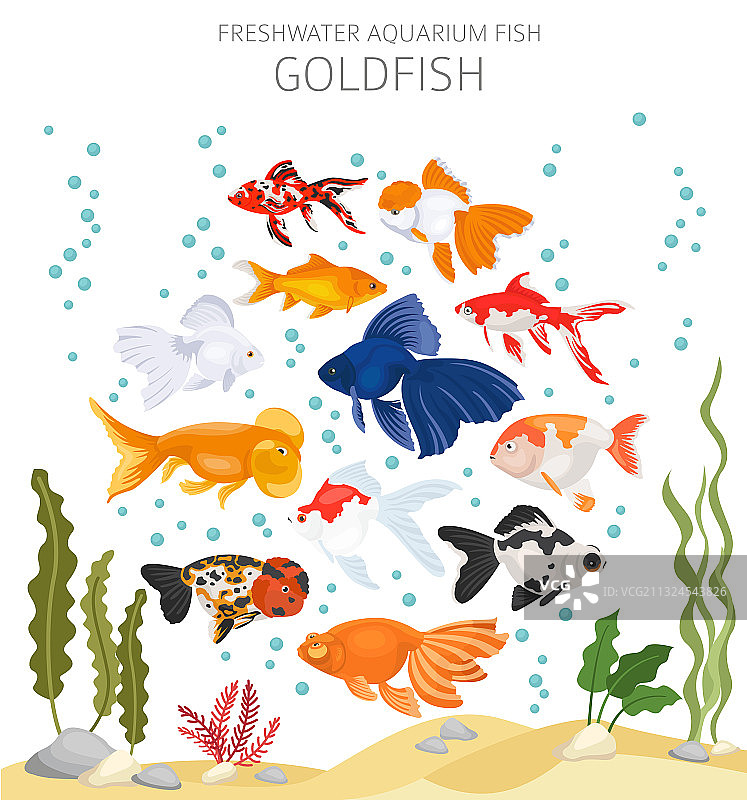 金鱼淡水水族箱鱼类图标扁平化设计图片素材