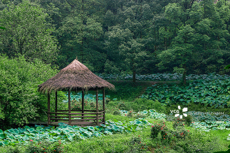 雨台山风景区荷叶田观景亭 重庆图片素材