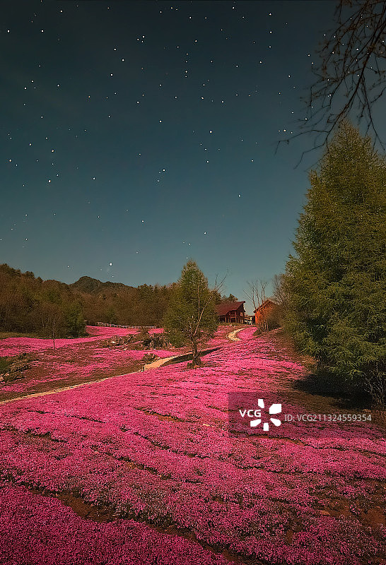 红池坝高山草场 重庆图片素材