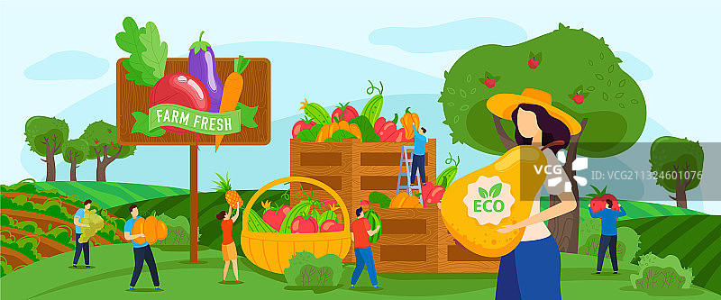 采摘水果蔬菜图片素材