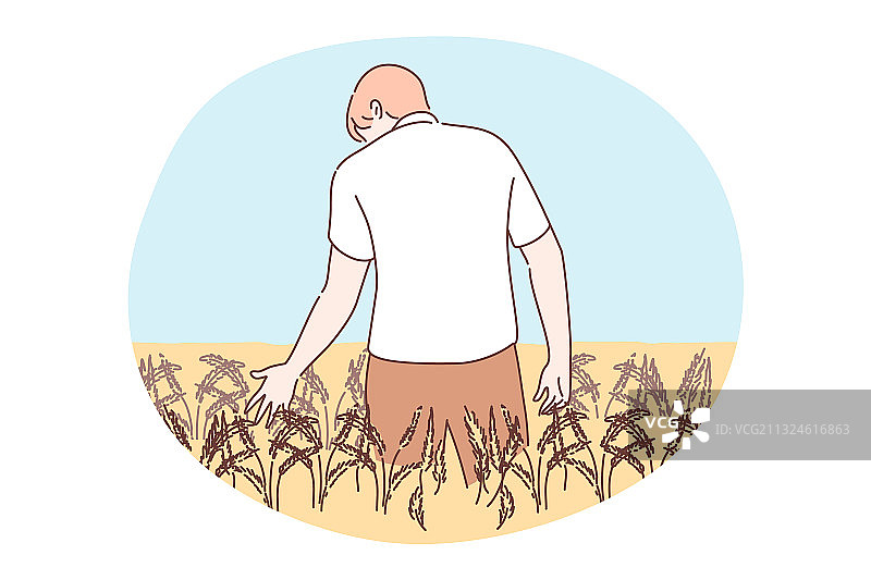 农业耕作收割概念图片素材