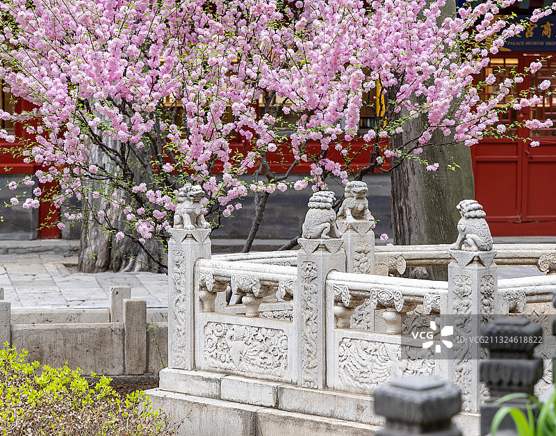 御花园Imperial garden图片素材