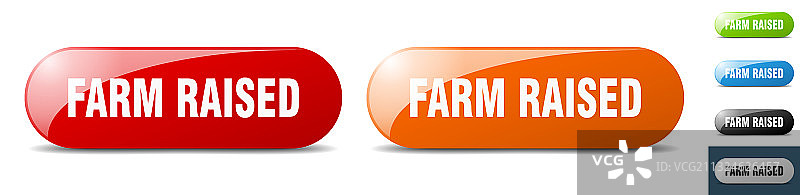 农场饲养按钮标志套装。图片素材