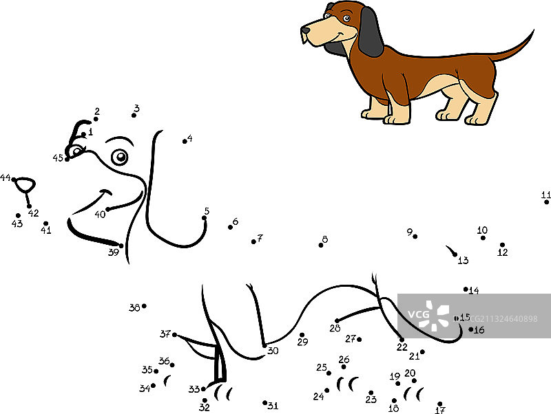 数字游戏：腊肠犬品种图片素材