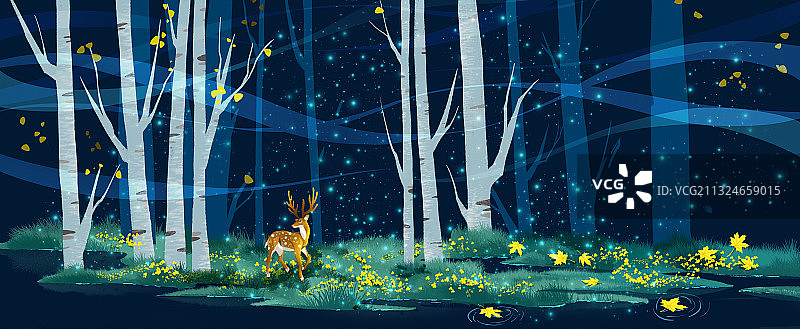 白露森林4k版图片素材