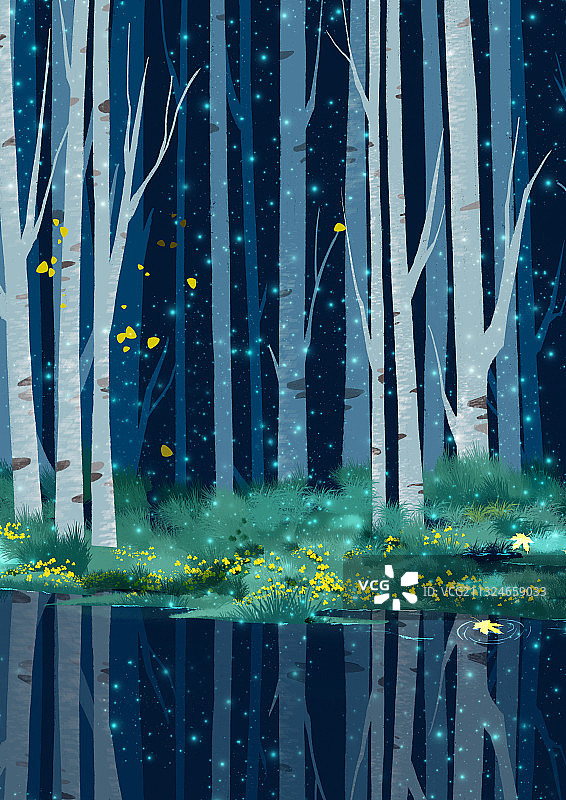 白露森林图片素材