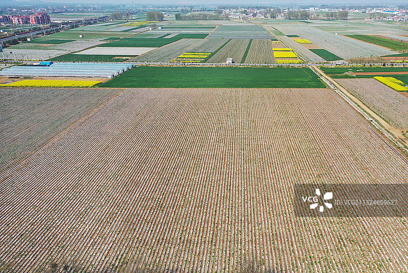 航拍山东枣庄山亭区旱作节水覆盖地膜播种的马铃薯农田图片素材