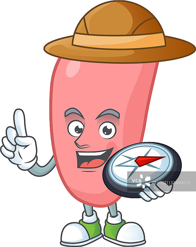 使用指南针的世界探险者淋病奈瑟菌图片素材