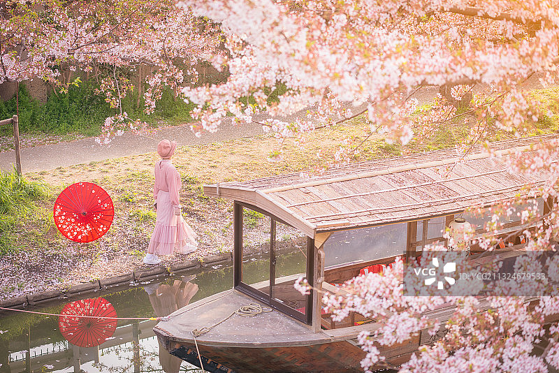 日本京都樱花与小船图片素材